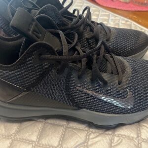 Nike Lebrons
